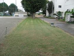 冬芝種まき後の写真