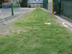 生育状況の写真