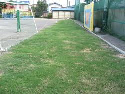 生育状況の写真