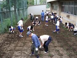 Photograph of planting work on June 18, 2010