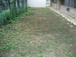 平成22年７月２日撮影の生育状況の写真