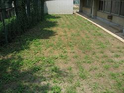 平成22年７月21日撮影の生育状況の写真