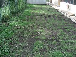 平成22年７月30日撮影の生育状況の写真