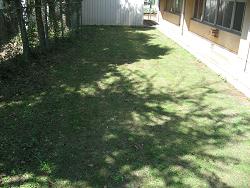 平成22年９月22日撮影の生育状況の写真