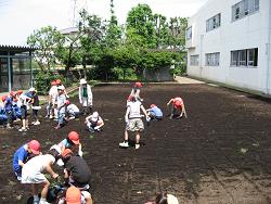 平成22年６月17日の植付作業の様子