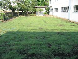 平成22年７月23日撮影の生育状況の写真