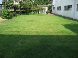 平成22年８月17日撮影の生育状況の写真