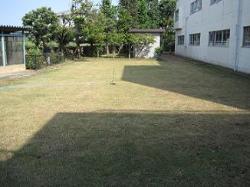 平成22年９月14日の生育状況の写真