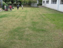 平成22年10月27日の冬芝種まき後の写真