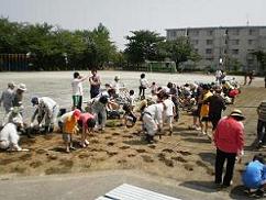 植付作業の写真