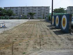 植付直後の写真