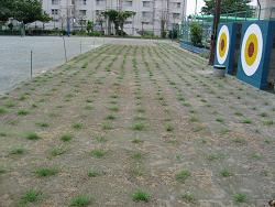 生育状況の写真