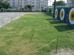 平成22年７月23日の生育状況の写真