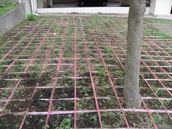 平成22年７月８日の植付状況の写真