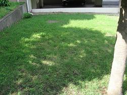 平成22年８月16日の生育状況の写真