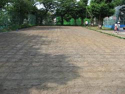 平成22年６月12日の植付前の写真