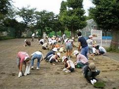 平成22年６月12日の植付作業の写真