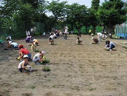 平成22年６月12日の植付作業の様子