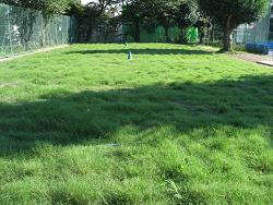 平成22年７月28日の生育状況の写真