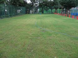 平成22年９月８日の生育状況の写真