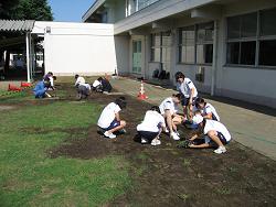 Photograph of planting work on June 16, 2010