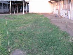 平成22年９月３日の生育状況の写真