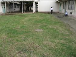 平成22年９月29日の生育状況の写真