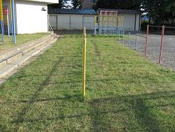 きれいに刈りそろえられた生育状況の写真