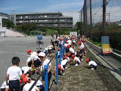 植付作業の写真