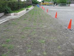 平成22年７月９日の生育状況の写真