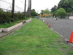 平成22年８月12日の生育状況の写真