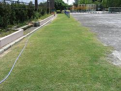 平成22年９月６日の生育状況の写真