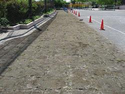 植付直後の写真