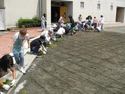 植え付け作業の写真