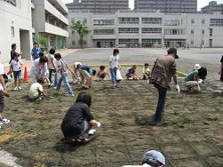 植え付け作業の写真2