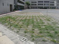 平成22年７月26日の生育状況の写真