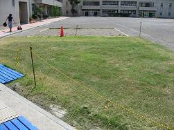 平成22年９月６日の生育状況の写真