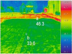 芝生の生育状況の写真