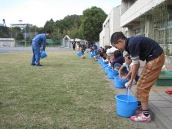 芝生の生育状況の写真