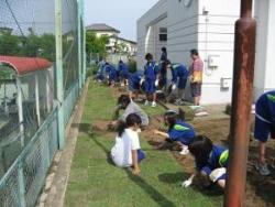 中田中で芝生を張りつけている写真