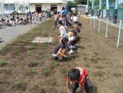 芝生の植付をしている写真