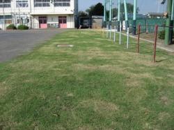 芝生の生育状況の写真