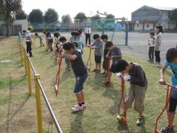 芝生の生育状況の写真