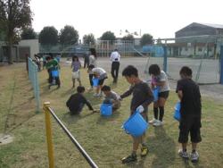 芝生の生育状況の写真