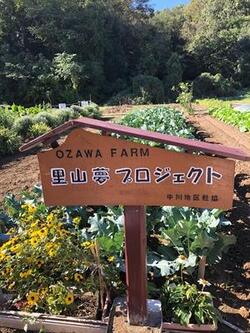 Distrito de Nakagawa moat de batata-doce". experimente sociedade" 1