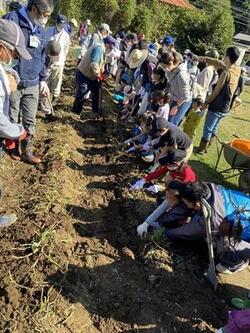 Quận Nakagawa "Trải nghiệm đào khoai lang" 2