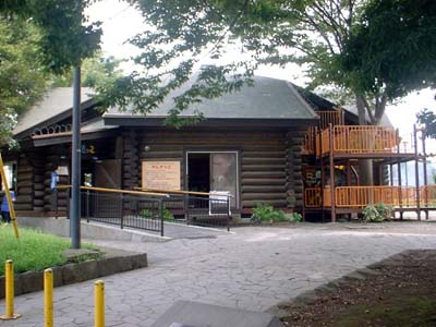 Children's log house