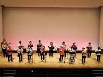 State of the instrumental music festival