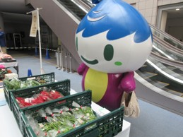 いずみマルシェに訪れるいっずんの写真