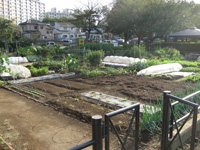 市民利用型農園の画像